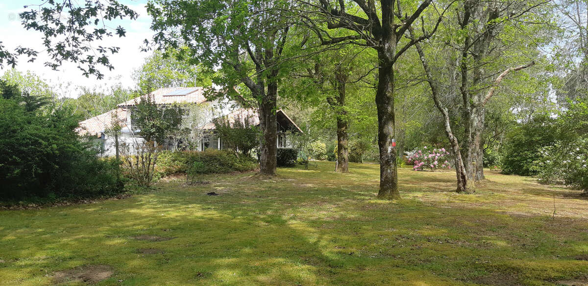 Maison à SOUSTONS