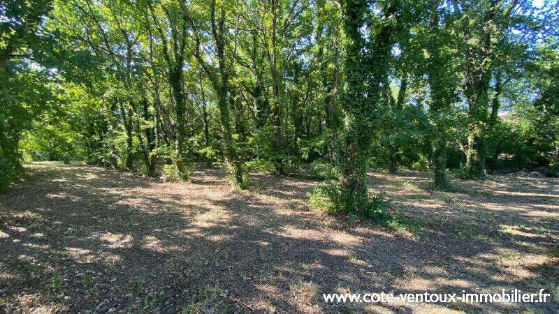 Terrain constructible viabilisé - 660 m² - photo 3