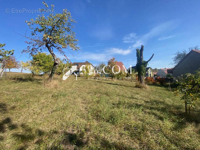 Terrain à DETTWILLER