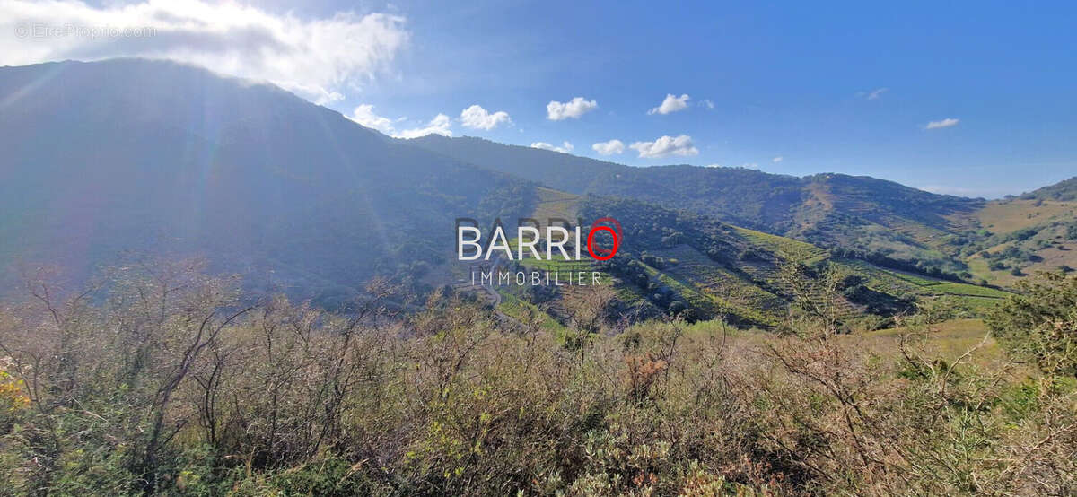 Terrain à COLLIOURE