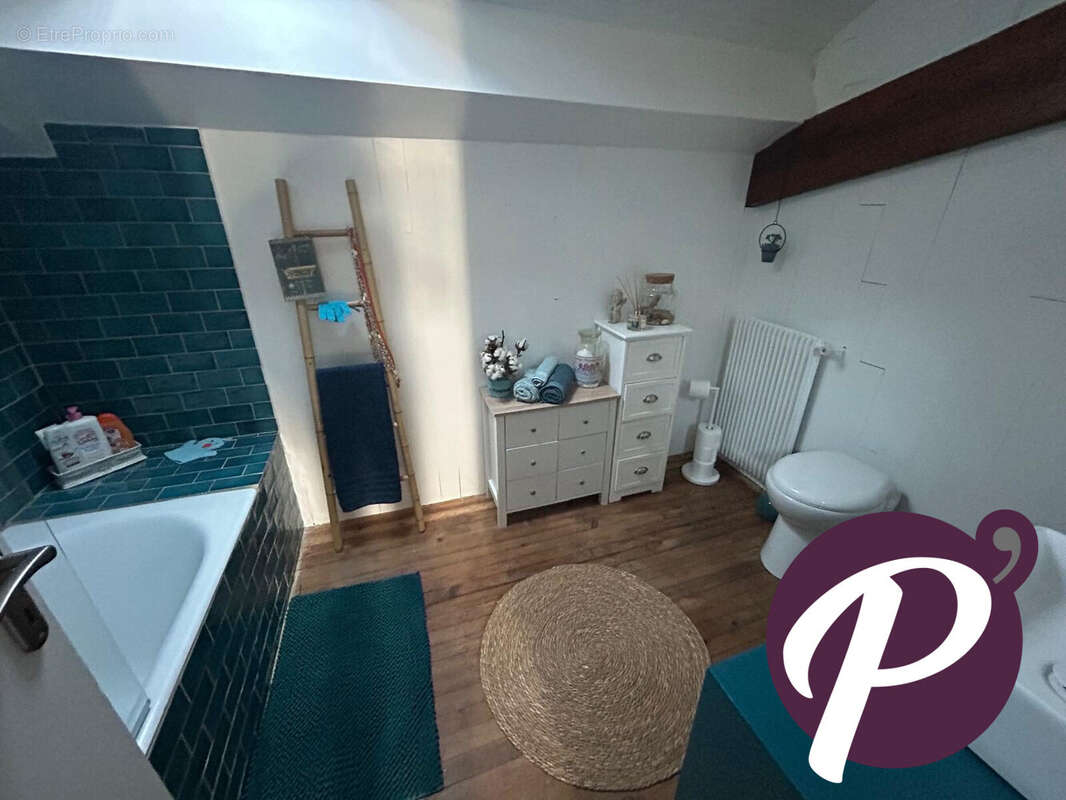 Salle d&#039;eau avec WC - Maison à LE FLEIX