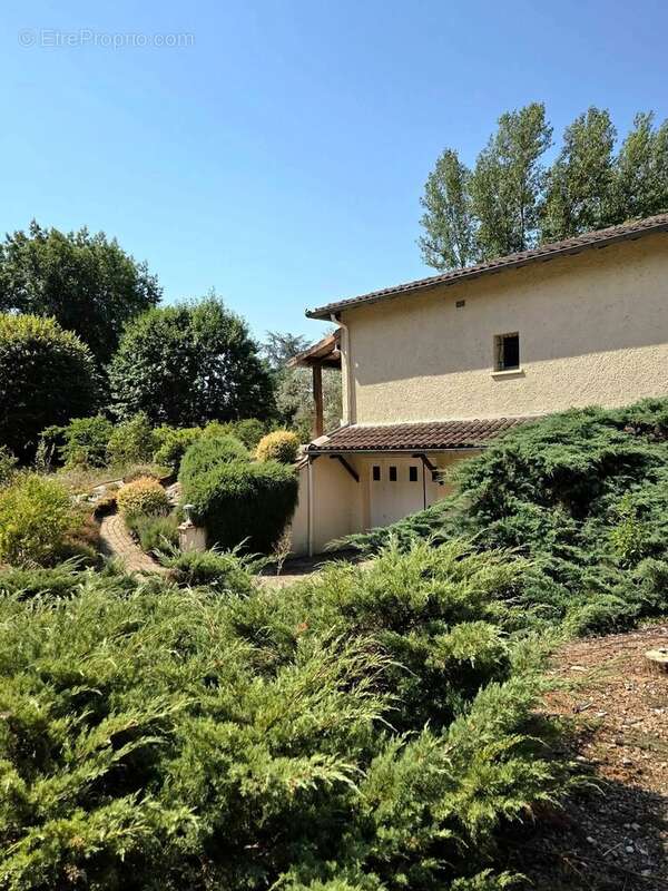 Maison de plain-pied avec grand terrain - photo 3