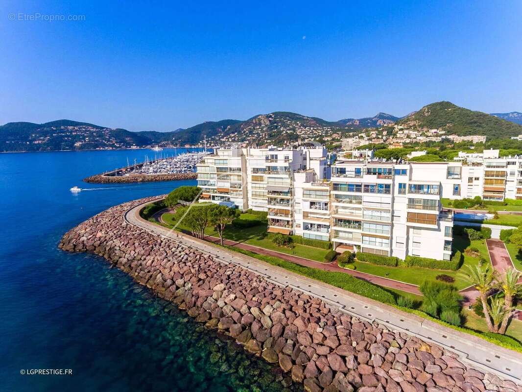 EXCLUSIVITÉ MANDELIEU-LA-NAPOULE : à pied des plages et des commerces. - photo 11