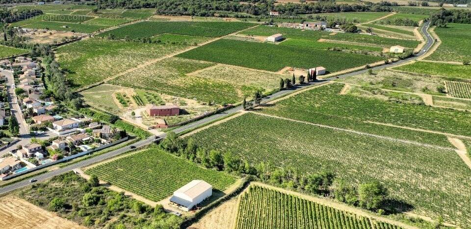 Terrain à SALLES-D'AUDE