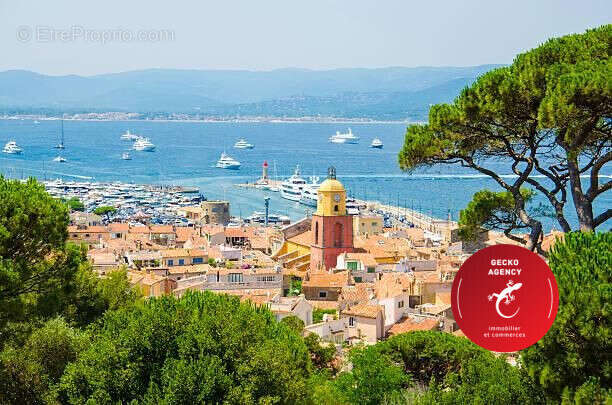 Maison à RAMATUELLE