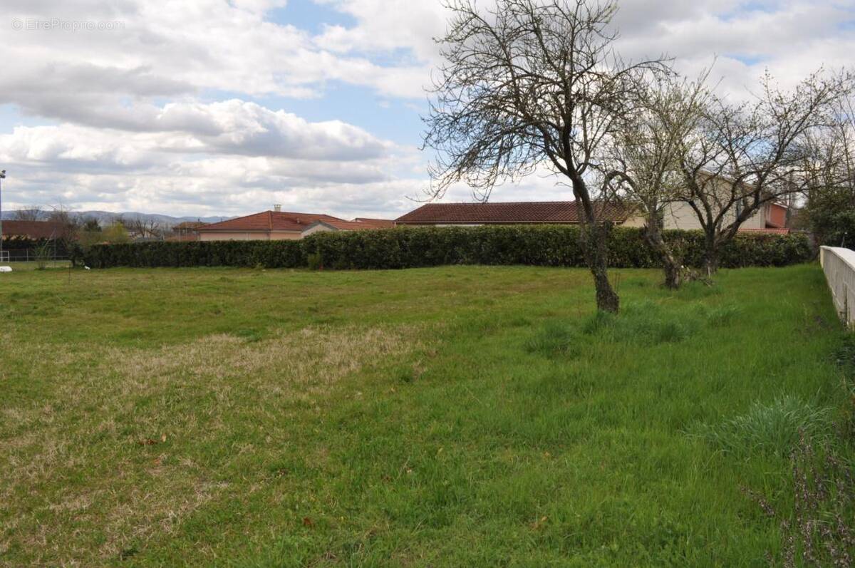 Terrain à MONTMERLE-SUR-SAONE