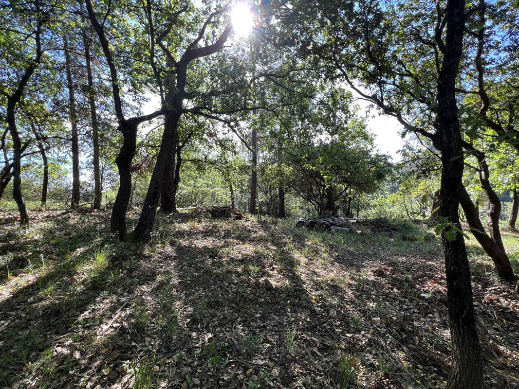 Terrain à SAINT-JEAN-DU-PIN
