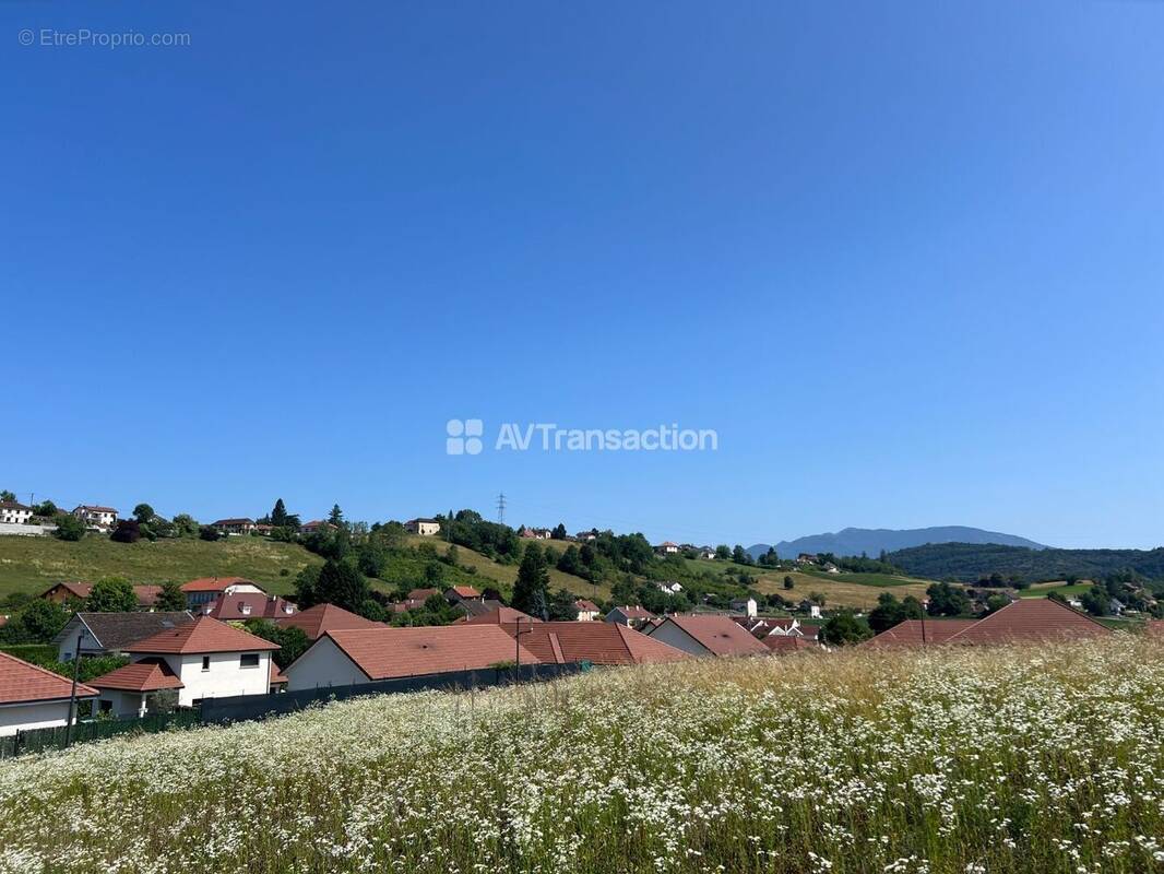 Terrain à BELLEY