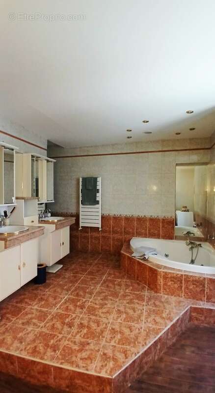 Maison à VILLEMAGNE-L&#039;ARGENTIERE