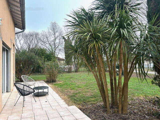 Maison à SAINT-ETIENNE-DE-TULMONT