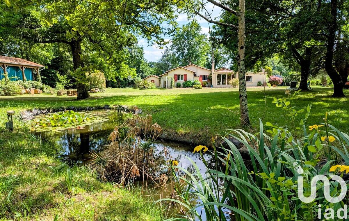 Photo 1 - Maison à LE PIZOU