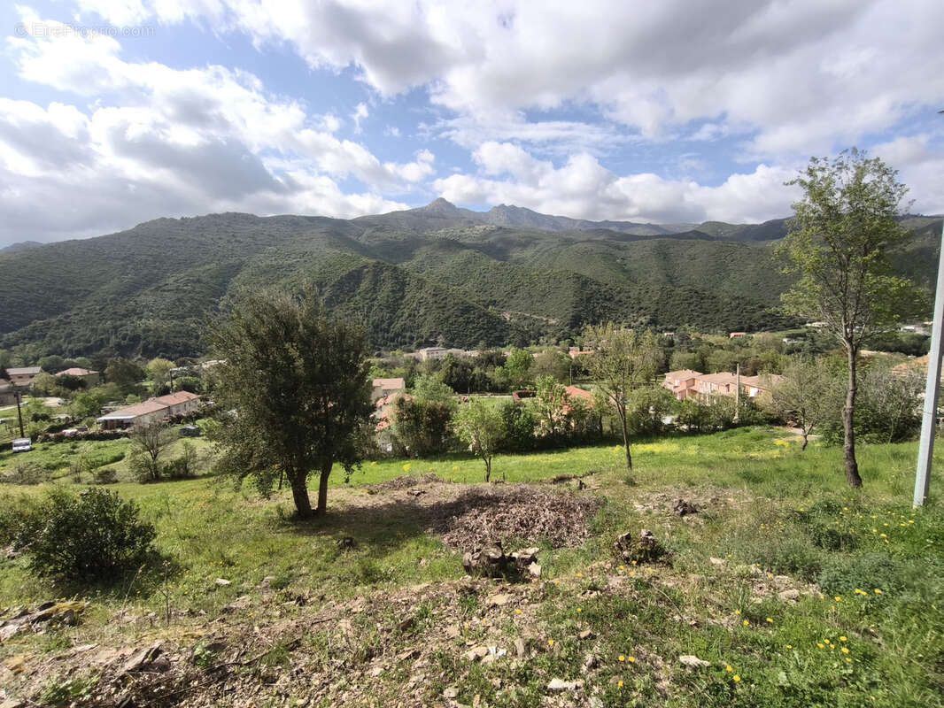 Terrain constructible de 2300m2 sur Ponte Novu - photo 3