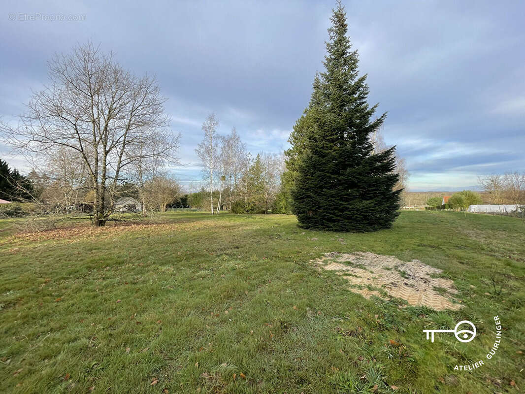 Terrain à MONTRIEUX-EN-SOLOGNE