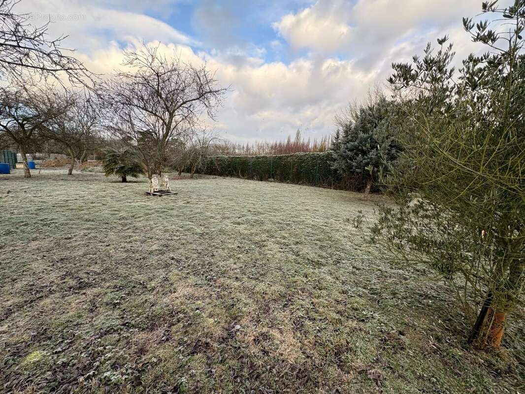 Maison à MARLES-EN-BRIE