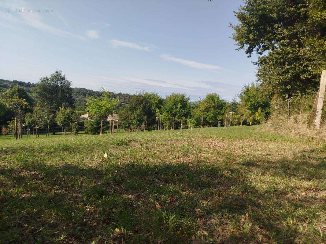 Terrain à CHATEAUNEUF-SUR-ISERE