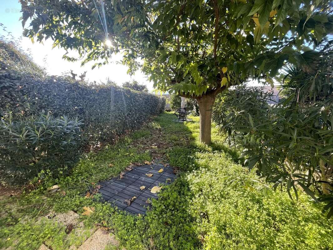 Appartement à LUMIO