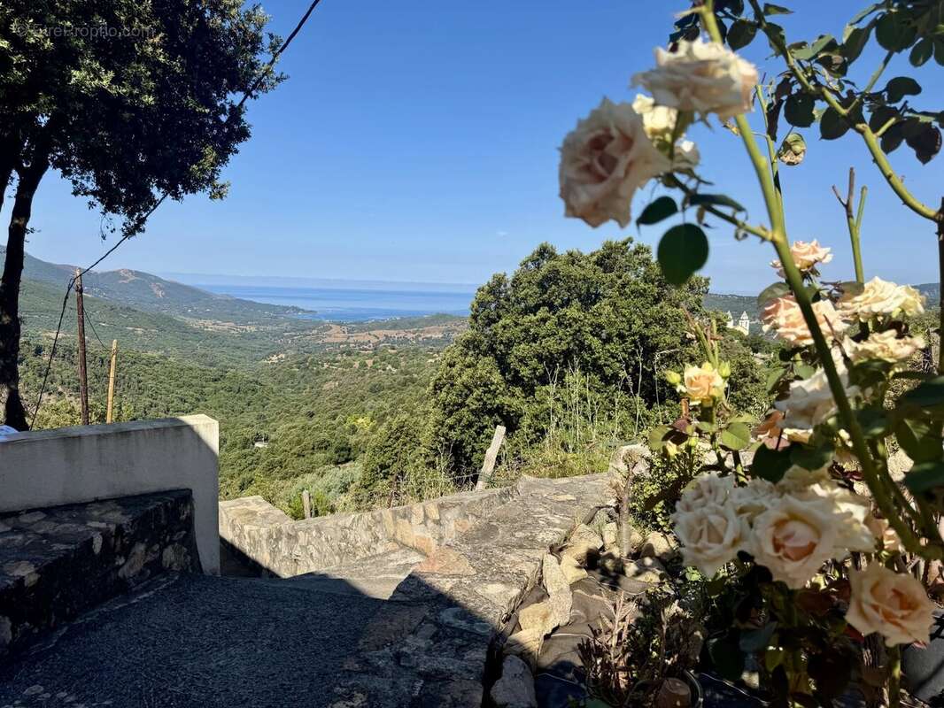 Maison à SARI-D'ORCINO