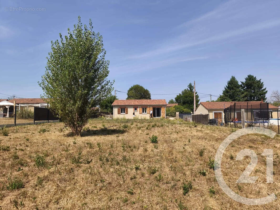 Maison 75 m² à Montesquieu-Volvestre  - photo 2