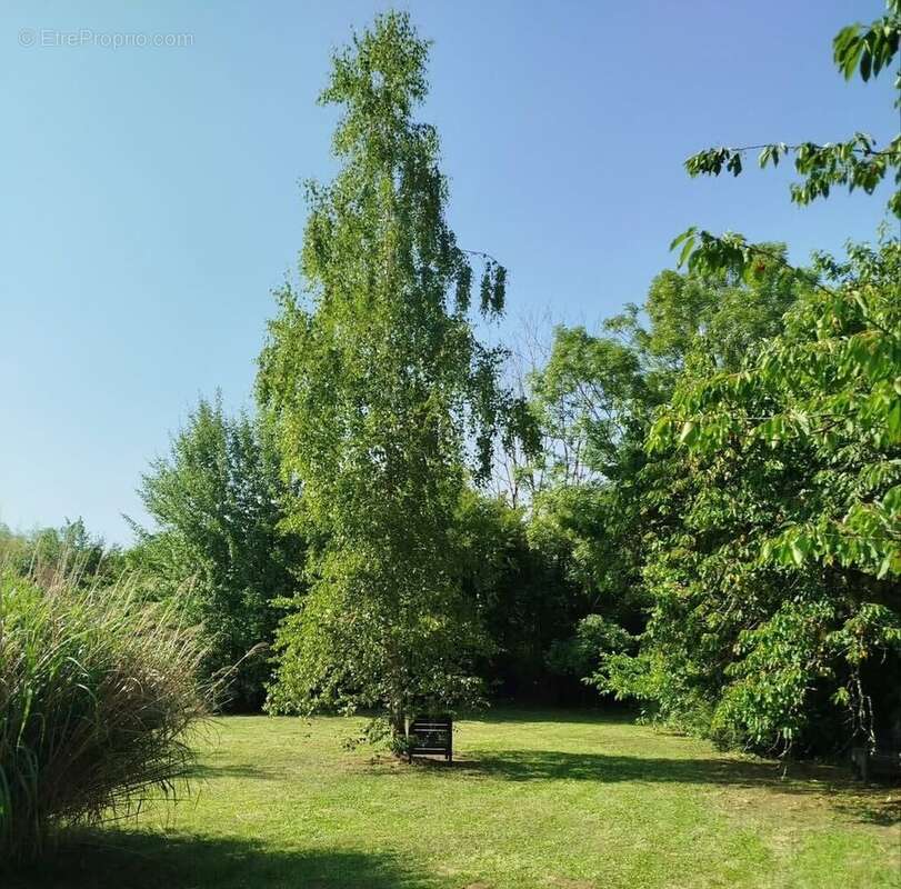 Maison 89 m² à Echenoz-La-Meline  - photo 4
