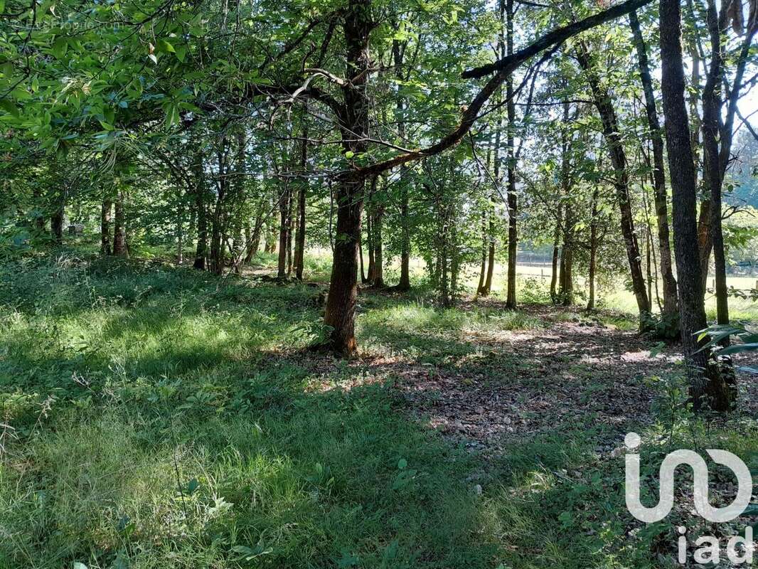 Photo 6 - Maison à BRANTOME