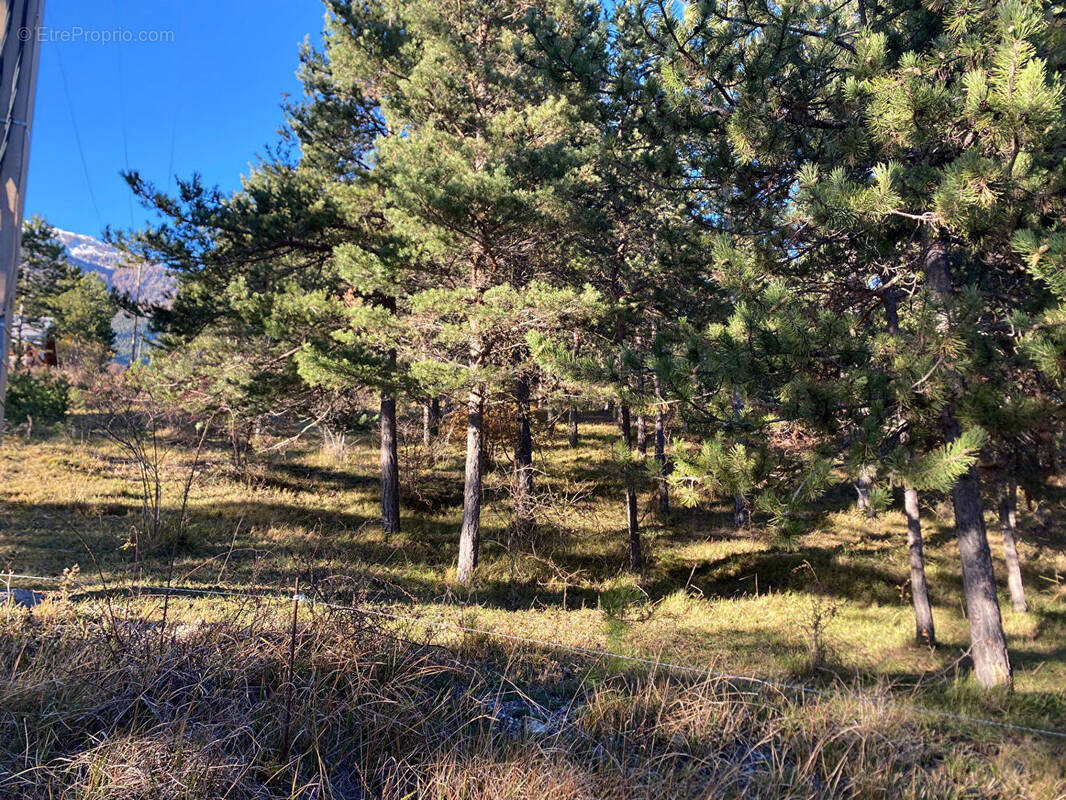 Photo 1 - Terrain à EMBRUN