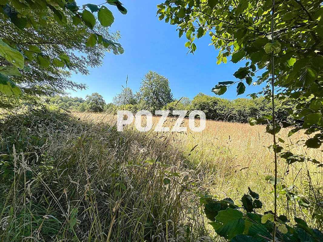 Terrain agricole Villedieu Les Poeles Rouffigny 14983 m2 - photo 2