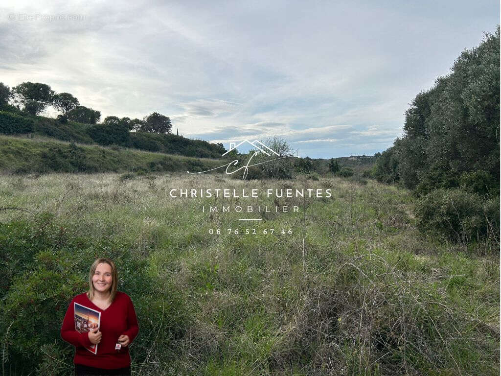 Terrain à BOUZIGUES