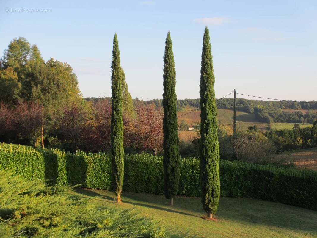 Maison à CASTELNAU-MONTRATIER
