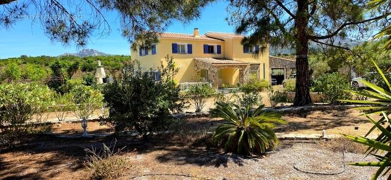 CALENZANA Maison à vendre 305 m² terrain de 5600 m² - Piscine - vue sur Calvi - photo 3