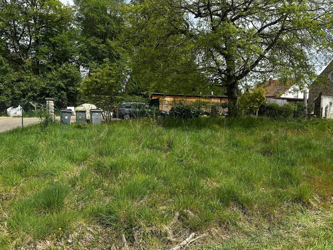 Terrain à ARBONNE-LA-FORET