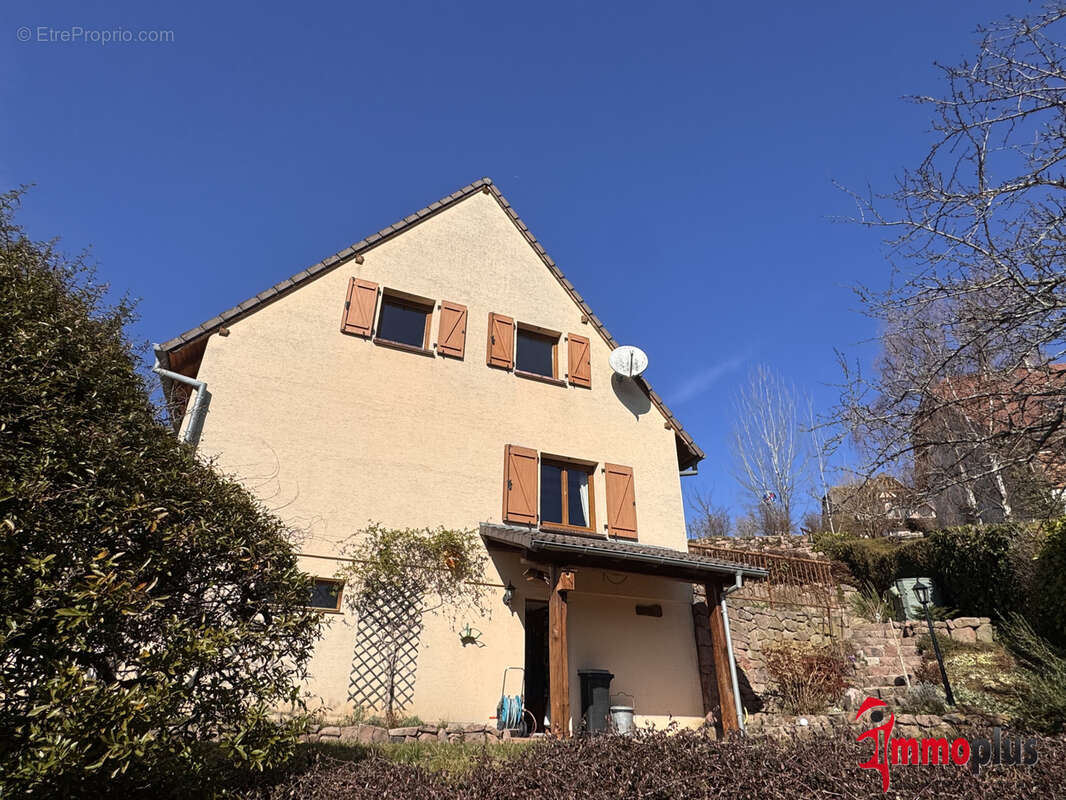 Maison à FRELAND