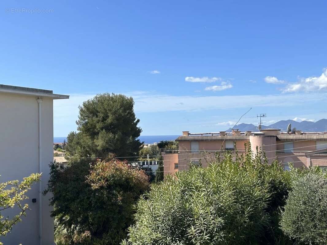 Le cannet roi albert - appartement villa - photo 16