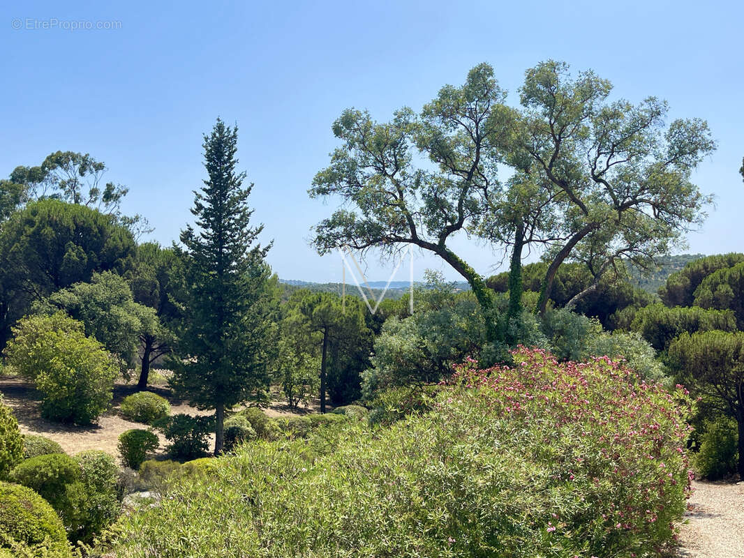 Le plan de la tour - tres belle propriété sur 4 hectares - rafraichissements à prevoir. - photo 23