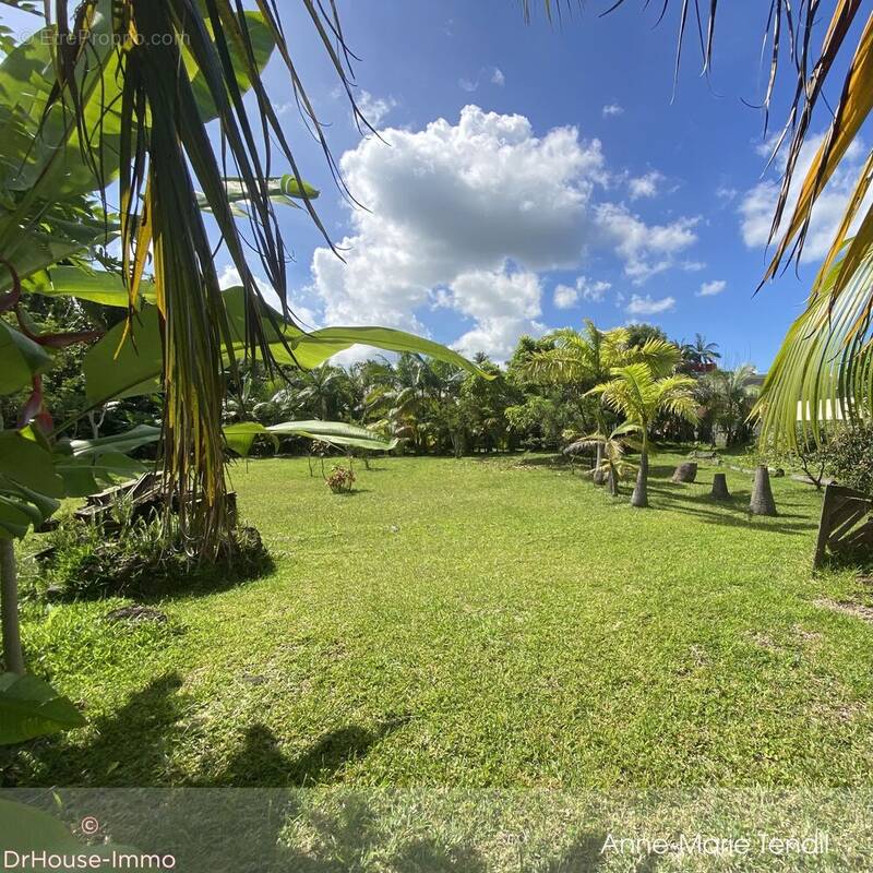 Terrain à LE TAMPON