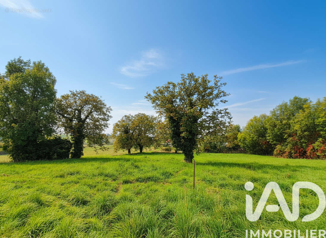 Photo 3 - Terrain à BEAUREGARD-VENDON