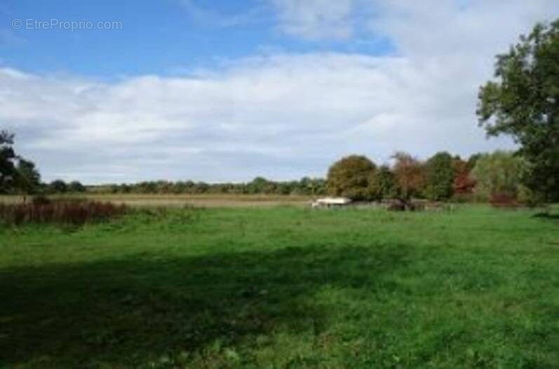 Terrain à LES BREVIAIRES