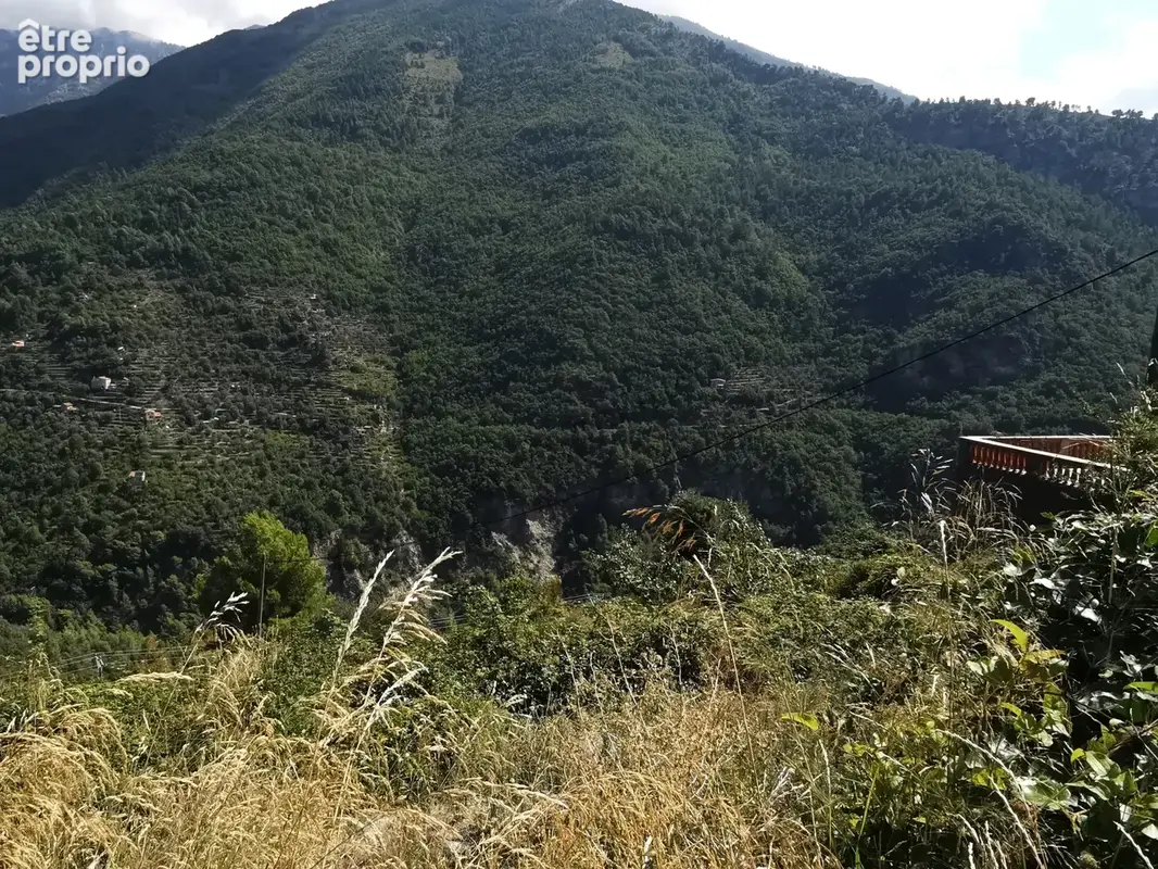 Terrain à BREIL-SUR-ROYA