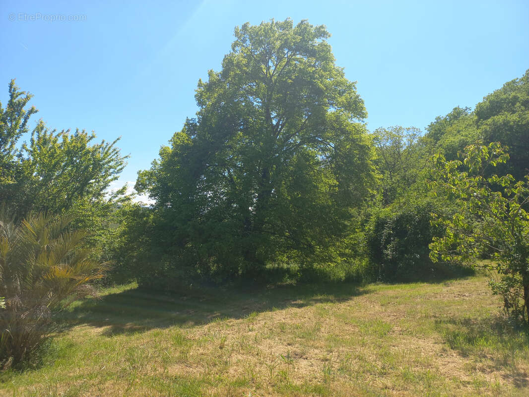 Maison à TRIE-SUR-BAISE