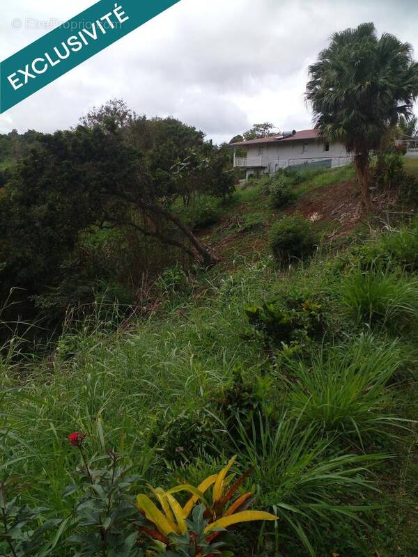 Photo 1 - Terrain à SAINT-ESPRIT