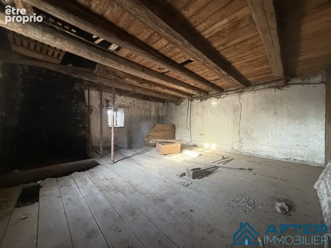 Maison 237 m² à Xermamenil  - photo 3