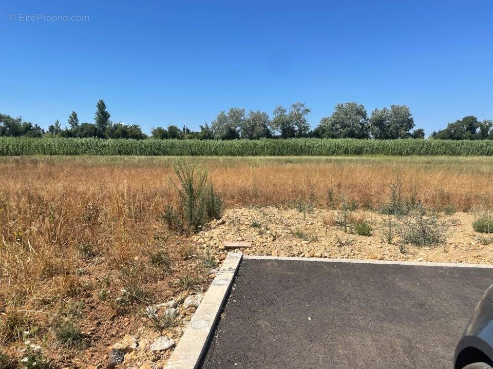Terrain à SAINT-MARTIN-DE-CRAU