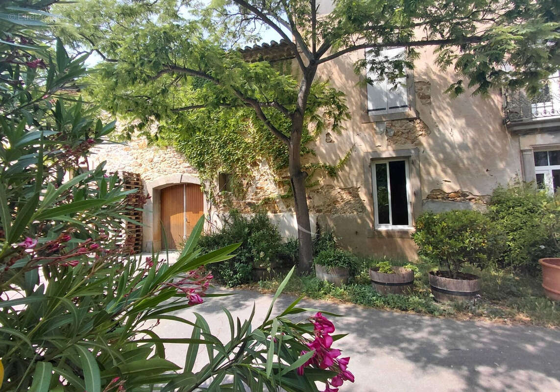 Maison à LUC-SUR-ORBIEU