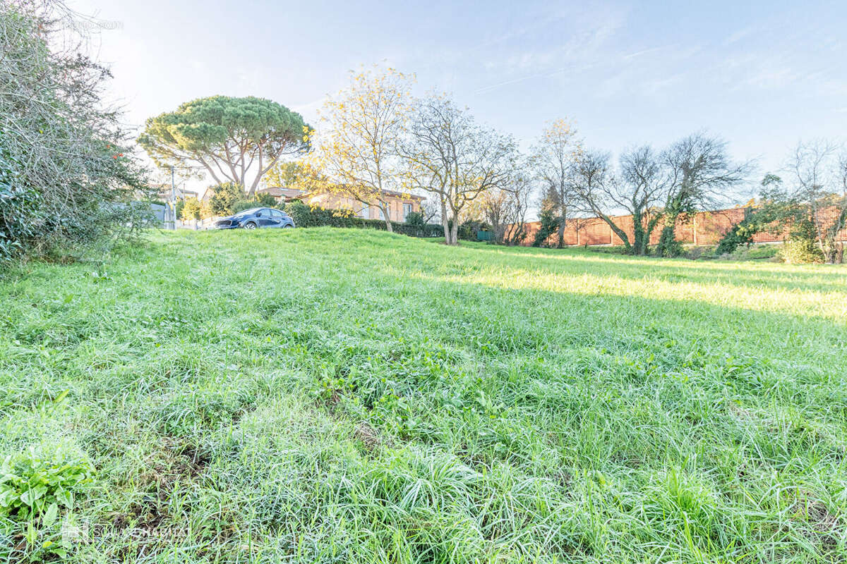 Terrain à COLOMIERS