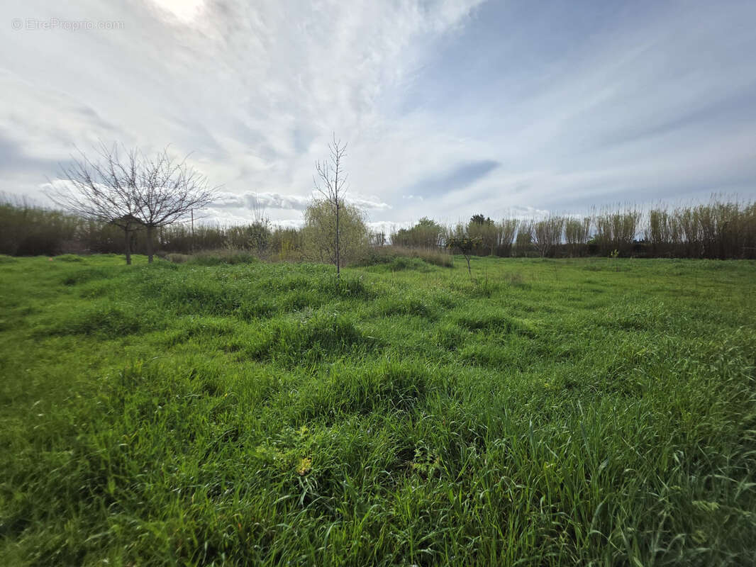 Terrain à VILLELONGUE-DE-LA-SALANQUE