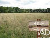 Photo 1 - Terrain à DOLUS-D'OLERON