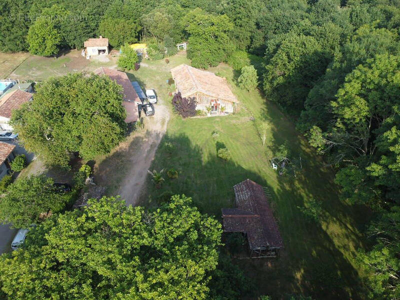 Maison à SAINT-PAUL-EN-BORN