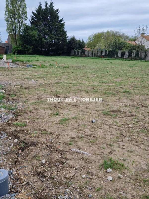 Terrain à MAUVES-SUR-LOIRE