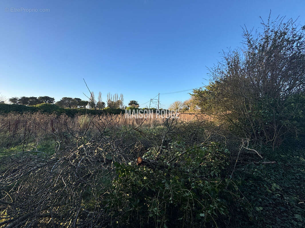 Maison à SAINT-MALO