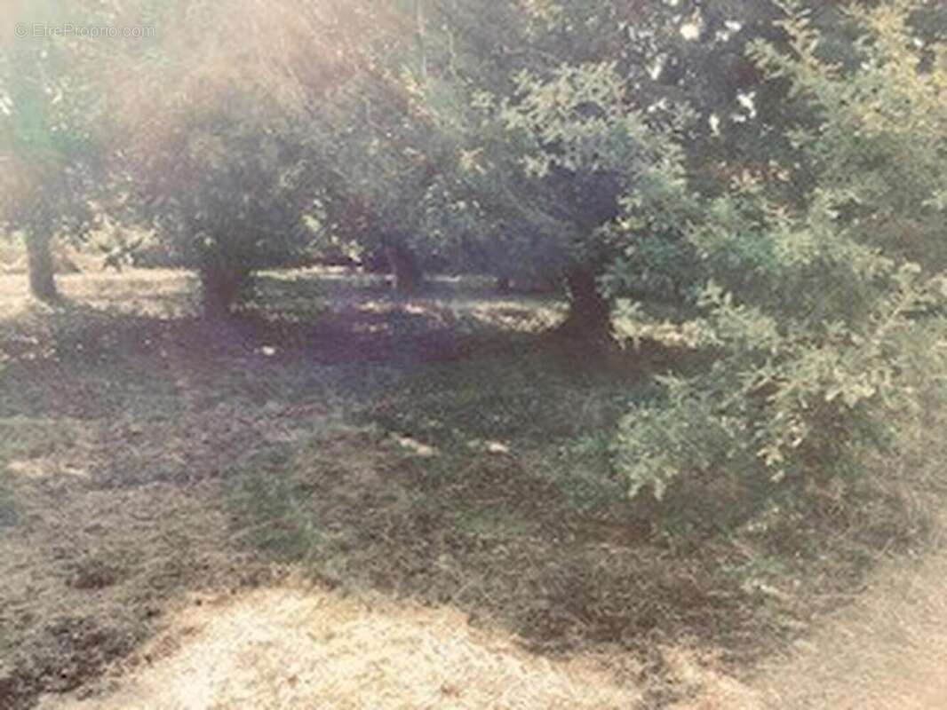 terrain 4 - Terrain à SAINT-MARTORY