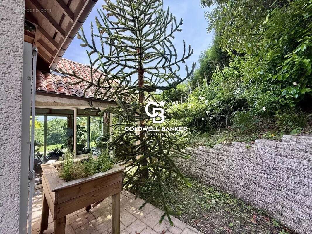 Maison à MONNETIER-MORNEX